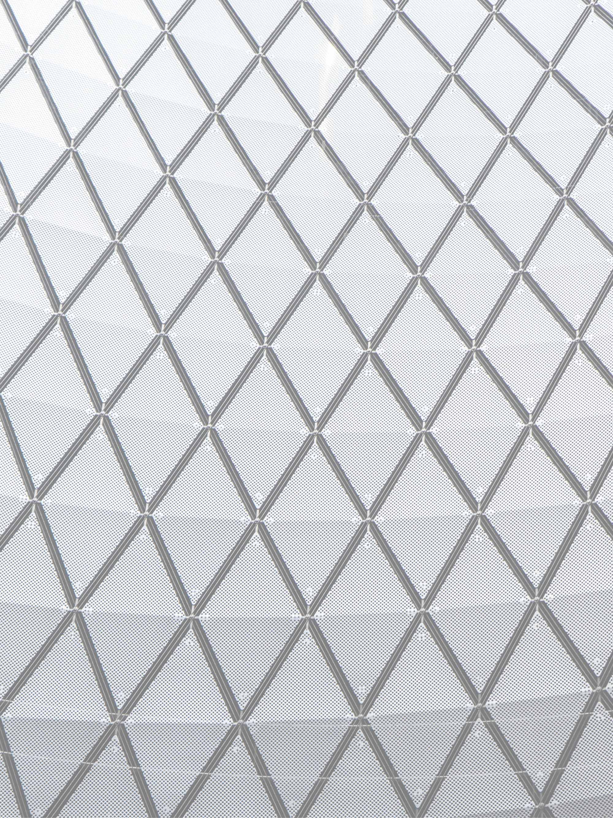 Pellentesque Risus Ridiculus